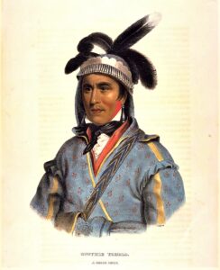 The American Civil War: Remembering the Civil War Ancestors of Indian Territory  And The Battle of Honey Springs